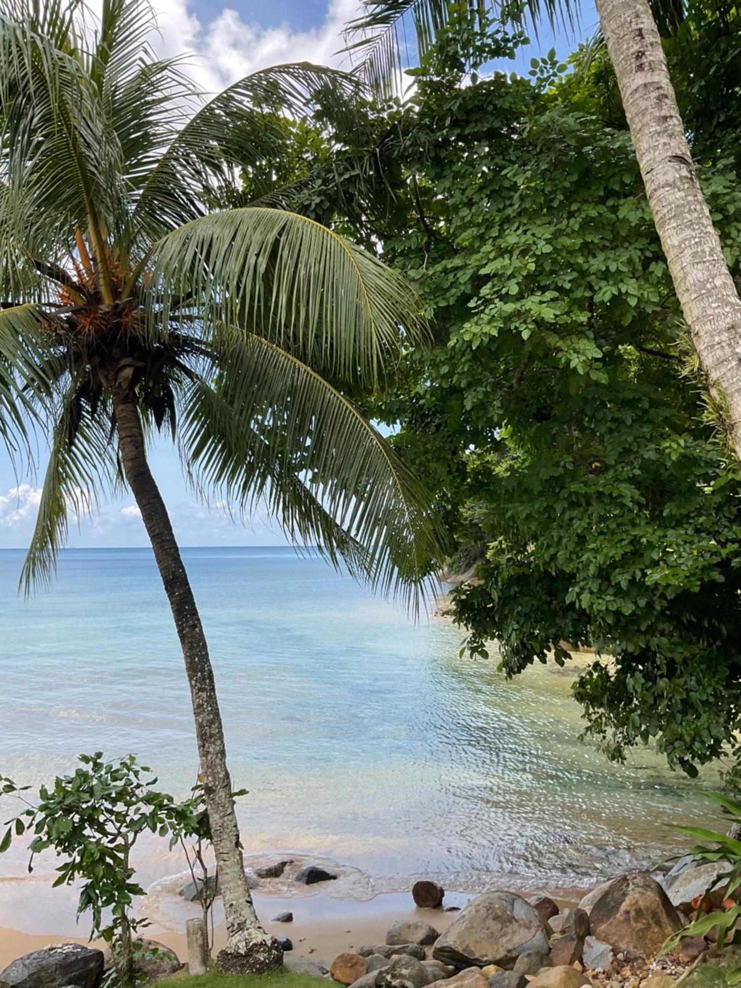 Abc Chalet Tioman Kampong Ayer Batang المظهر الخارجي الصورة