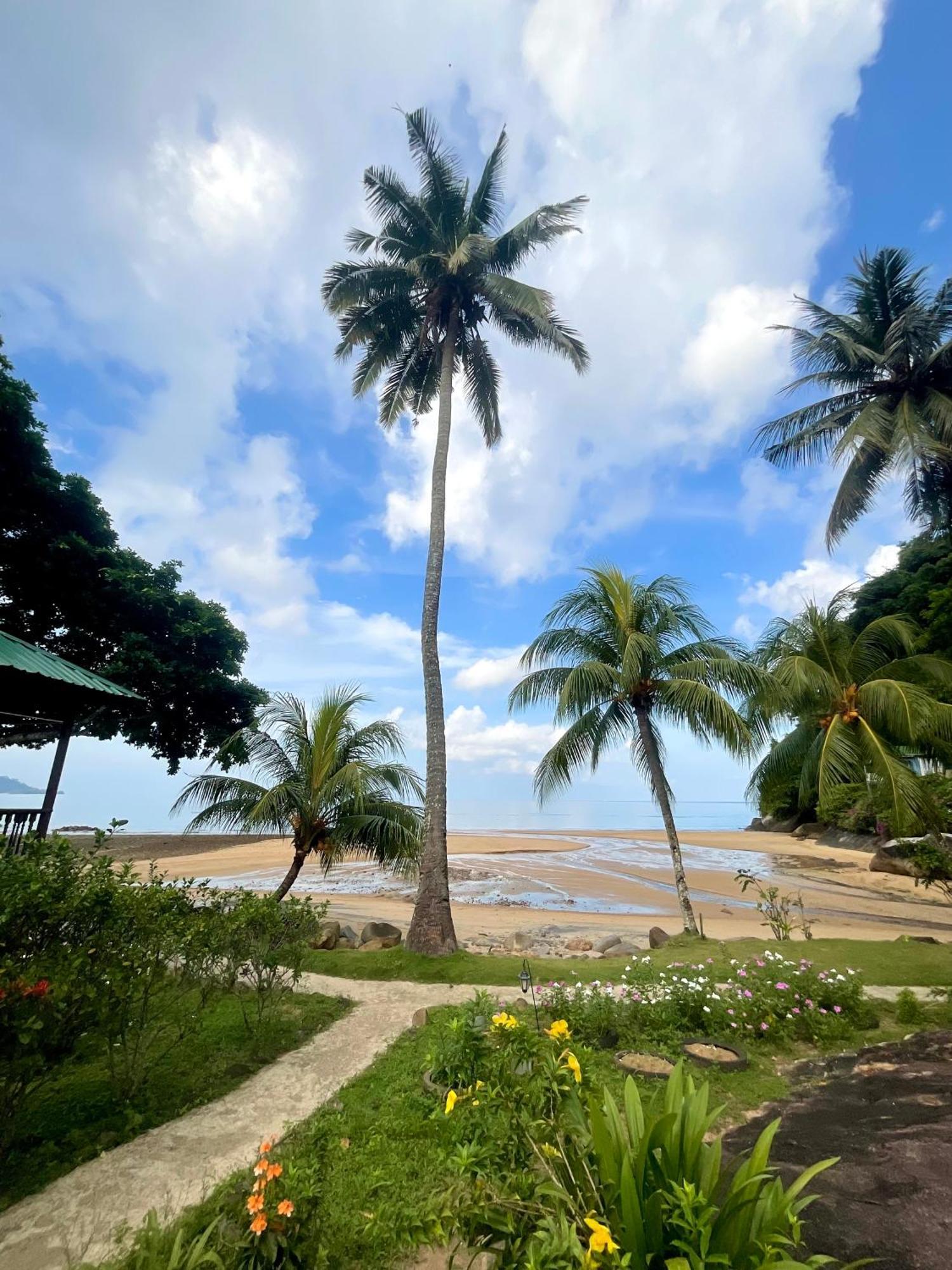 Abc Chalet Tioman Kampong Ayer Batang المظهر الخارجي الصورة