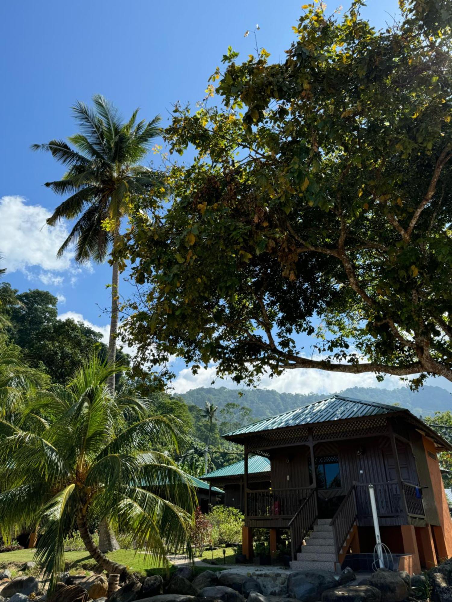 Abc Chalet Tioman Kampong Ayer Batang المظهر الخارجي الصورة